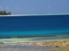 Aussicht von Sunshine Marine Lodge bei Ebbe