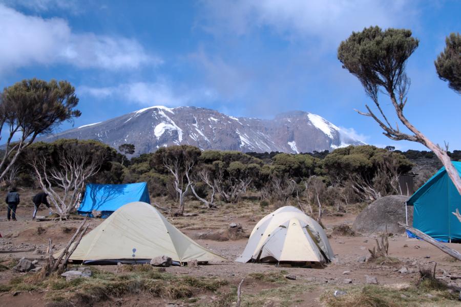 Kilimanjaro