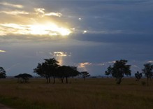 6 Tage Safari- Highlights von Tansania und Migration in der Serengeti