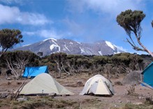 7 Tage Kilimanjaro – Lemosho Route