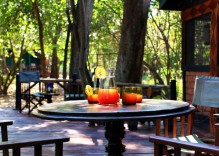 Gombe Forest Lodge – Tansania