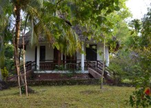 Mangrove Lodge – Sansibar