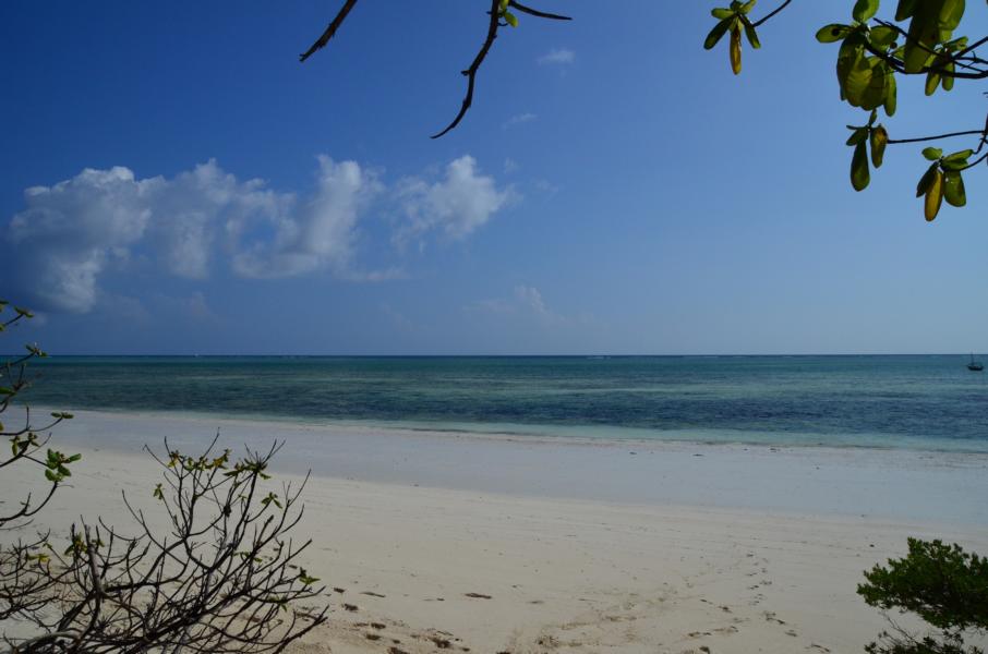 Tansania und Sansibar Reise Nov/Dez 2015 Teil 3 Twiga Safaris
