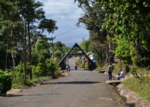 Kilimanjaro Tageswanderung – Tansania